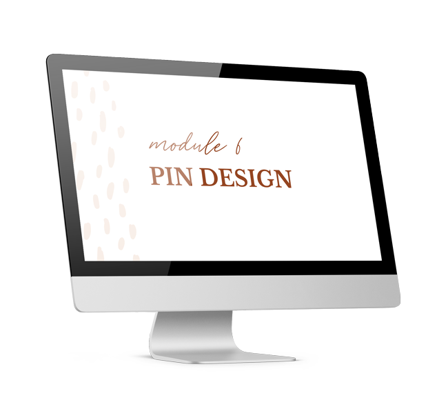 module 6 pin design